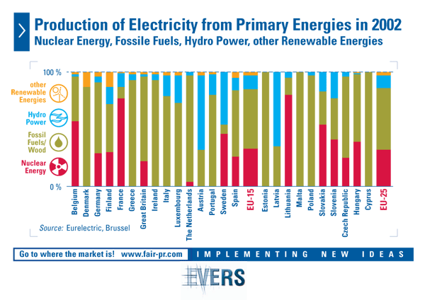 Production of Electricity from Primary Energies in 2002