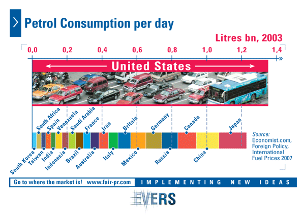 Petrol Consumption per day 