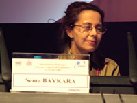 Sema BAYKARA (Yildiz Technical University, Turkey)